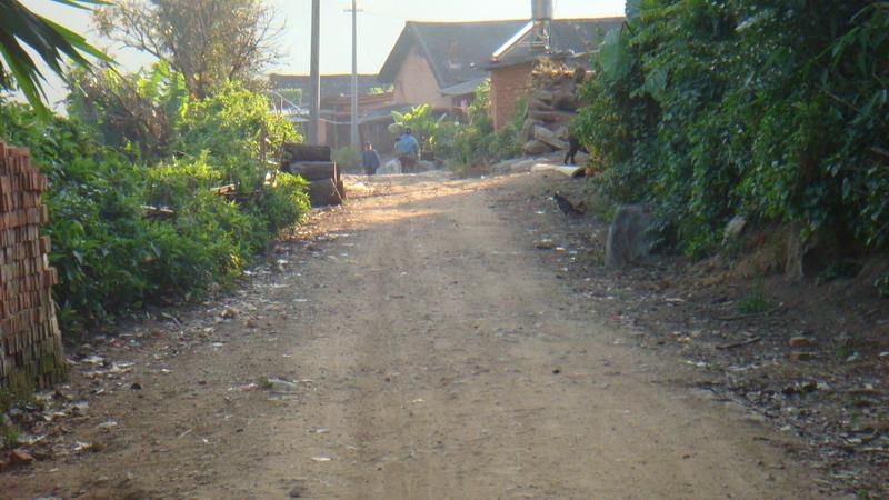 2023年保塘老寨古樹(shù)春茶價(jià)格是多少？