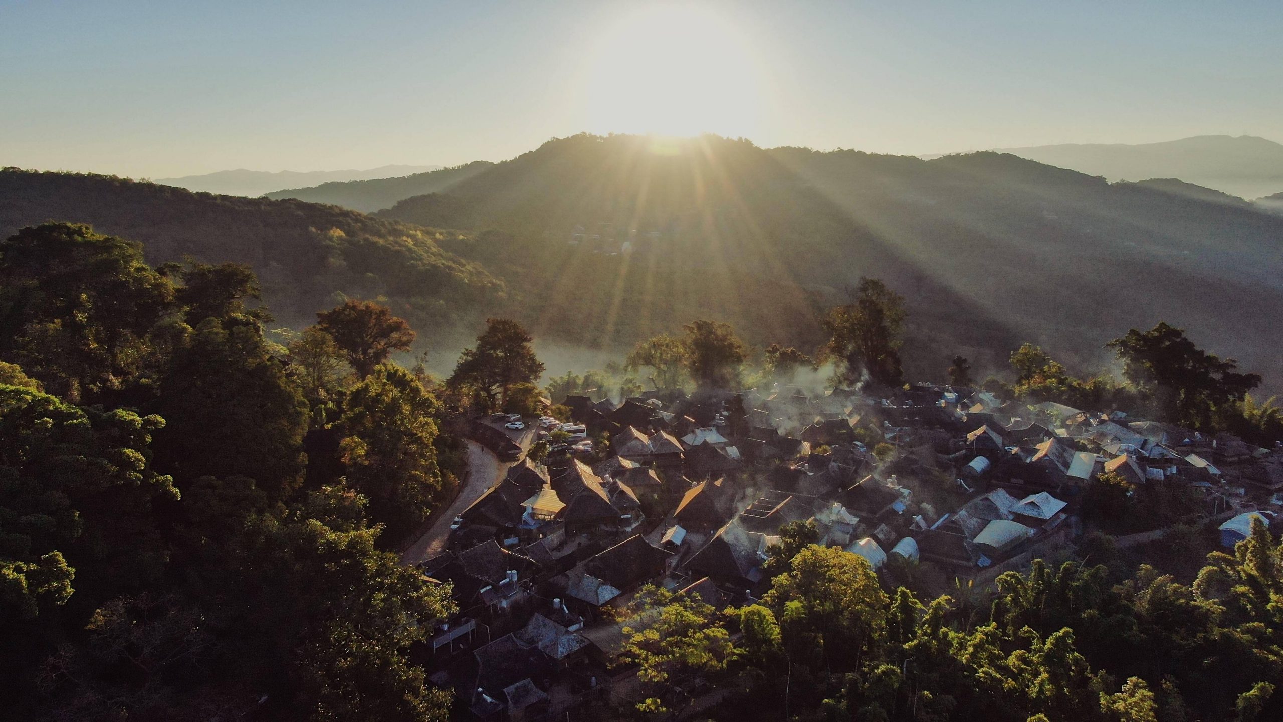 2023年景邁古樹春茶多少錢一公斤？