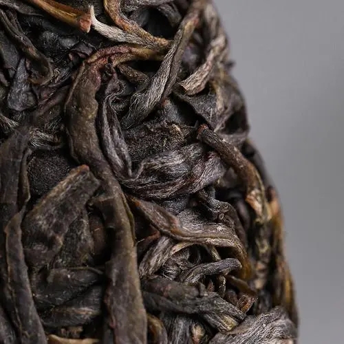 2023年迷帝古樹春茶價格是多少？