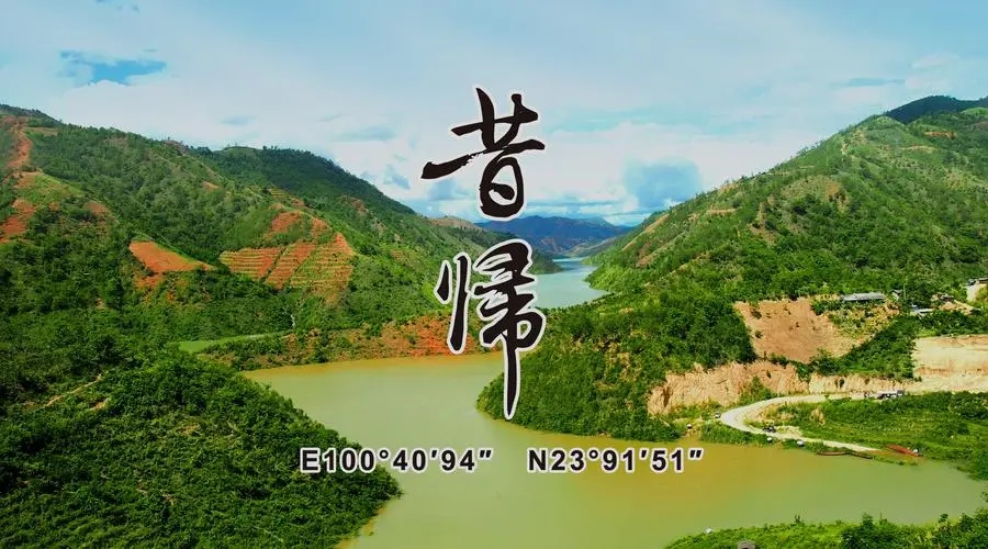 2023年昔歸古樹(shù)春茶品質(zhì)如何？