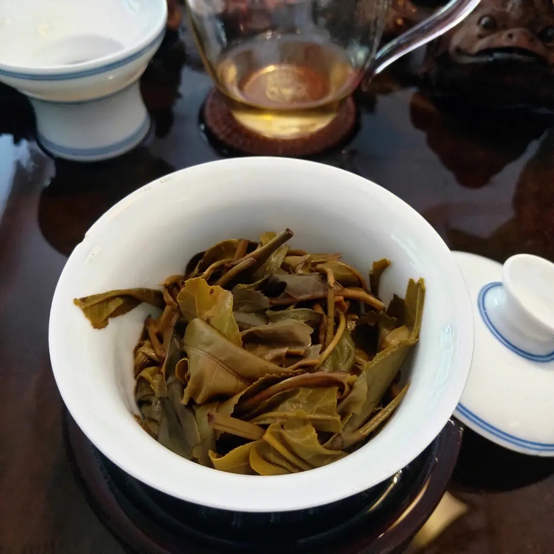 2023年昔歸古樹春茶口感如何？