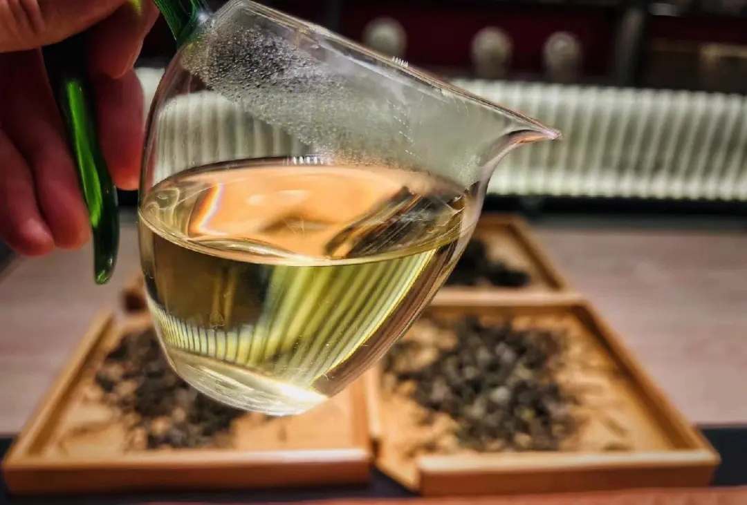 2023年鳳凰窩古樹春茶價(jià)格是多少？