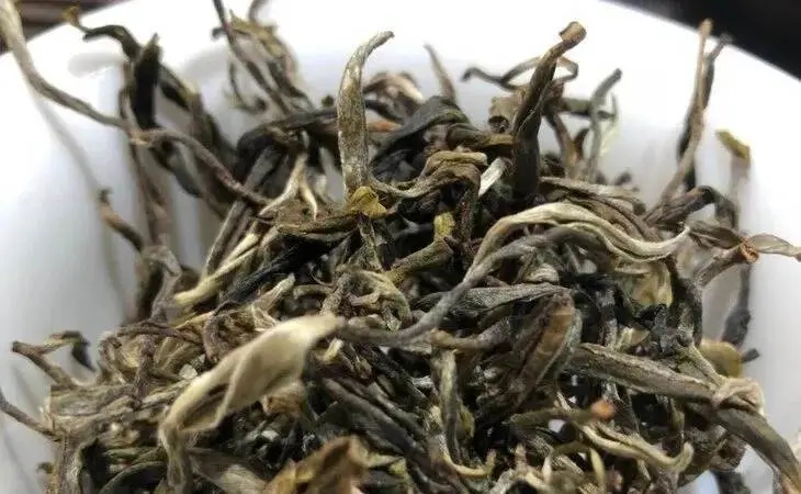 2023年鳳凰窩古樹春茶多少一公斤？