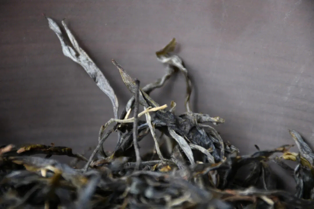 2023年正氣塘古樹春茶多少一公斤？