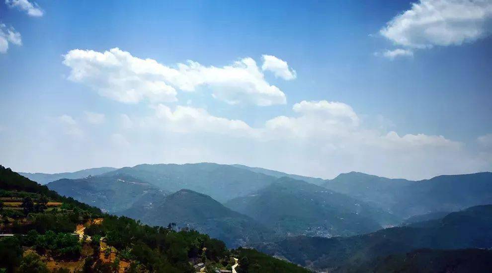 2023年勐庫大忠山古樹春茶價格是多少？