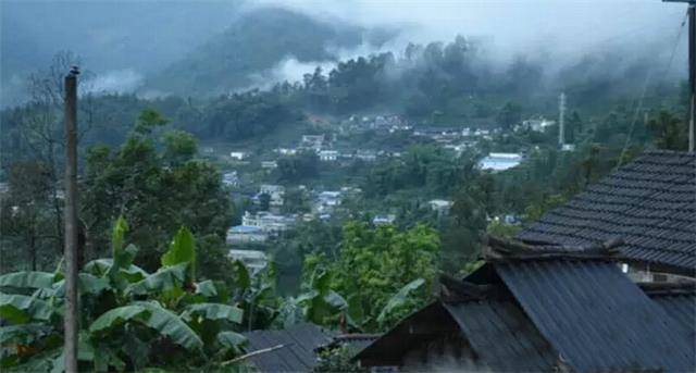 2023年勐庫豆腐寨古樹春茶口感怎么樣？