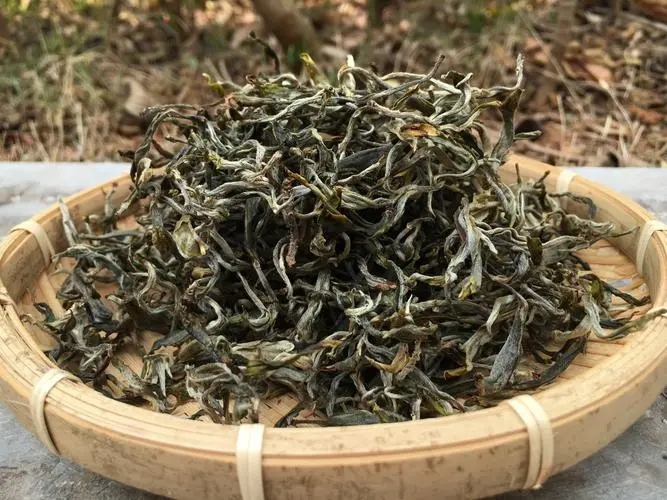 2023年易武張家灣古樹春茶品質(zhì)如何？