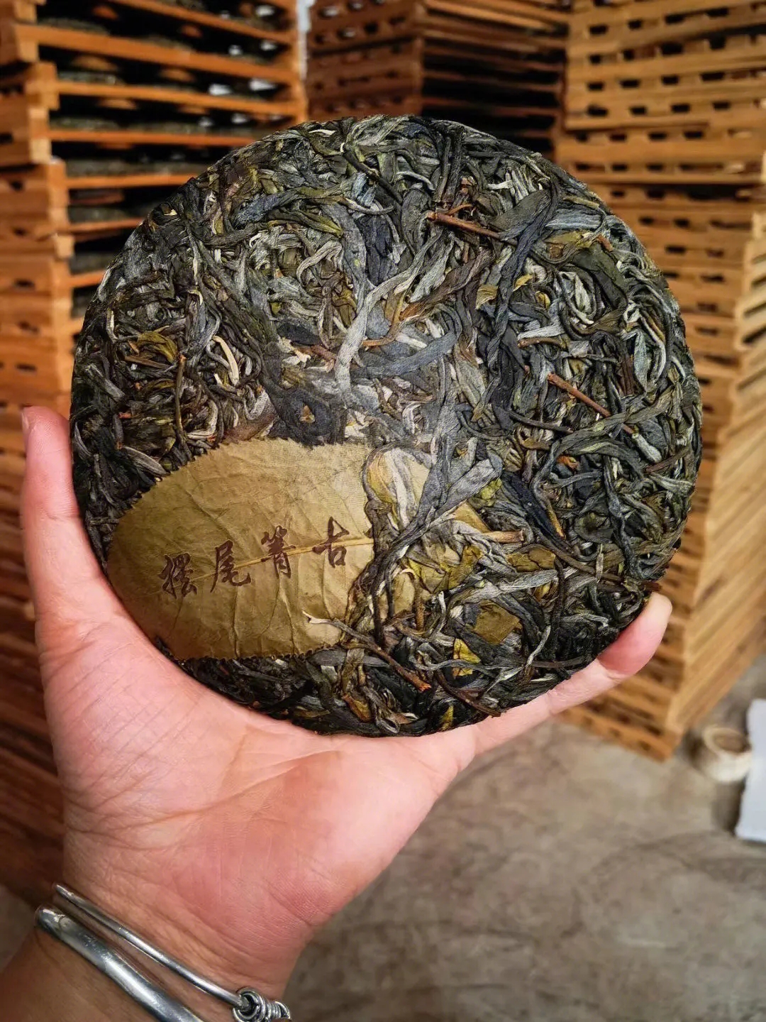 2023年寧洱擺尾箐古樹春茶品質(zhì)怎么樣？