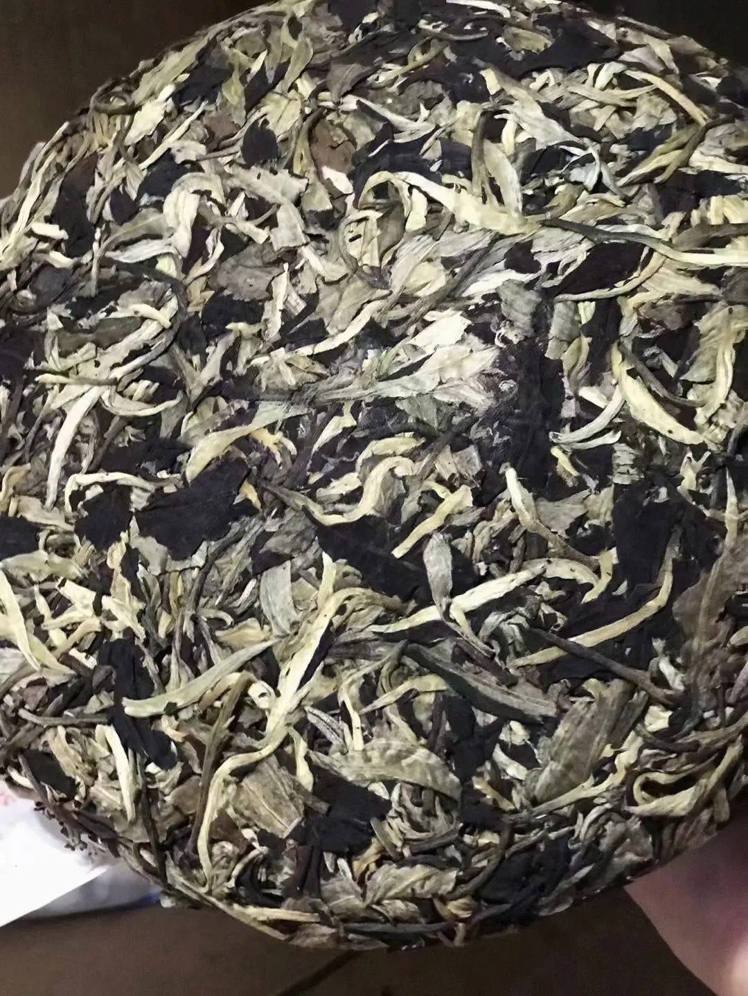 2023年月光白茶特點是什么？