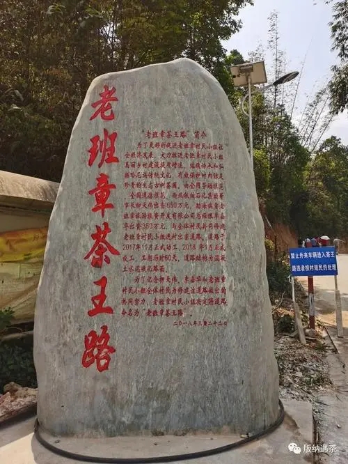 2024年老班章古樹春茶品質(zhì)如何？