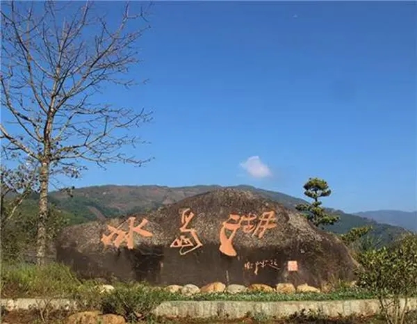 2024年冰島老寨古樹春茶品質(zhì)怎么樣？