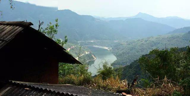 2024年磨烈古樹春茶價(jià)格多少？