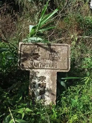 2025年蠻磚古樹(shù)春茶特點(diǎn)是什么？