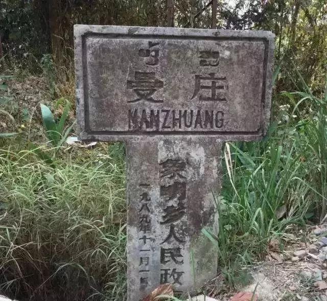 2025年蠻磚古樹(shù)春茶價(jià)格是多少？